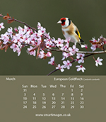 photo by Oliver Smart